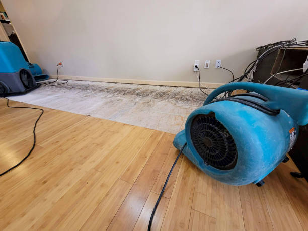 Professional Structural Drying technician working in Ithaca, NE